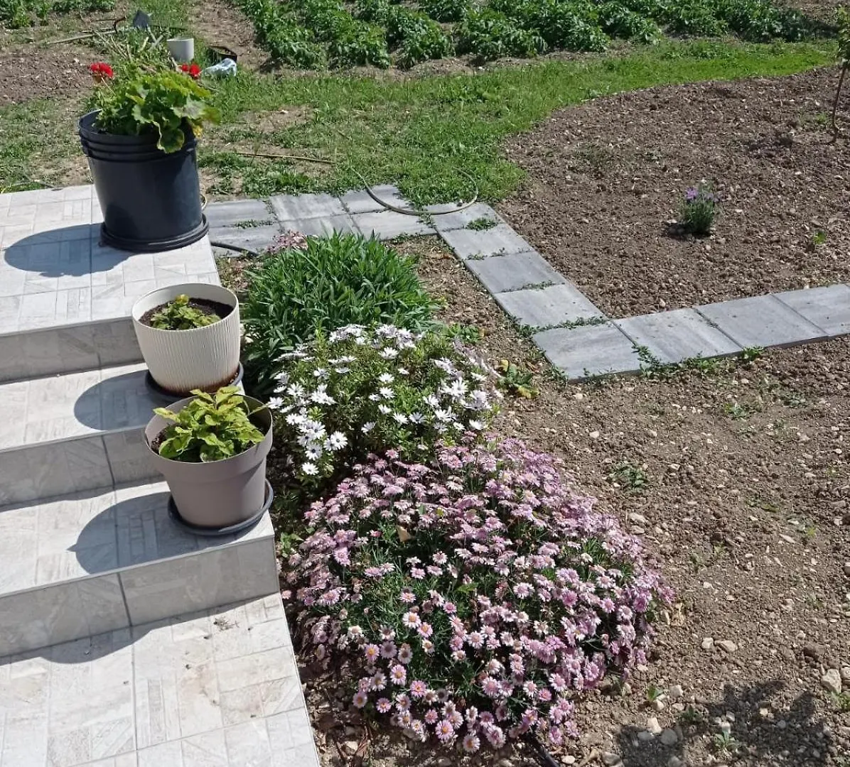 Feriehus Vacation Home Zdravka Kaštela